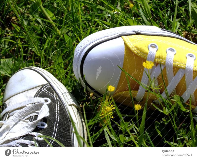 I love Chucks! Schuhe kultig Stil Schuhbänder Frühling springen Wiese Gras Blume Blüte Bekleidung Detailaufnahme Sonne