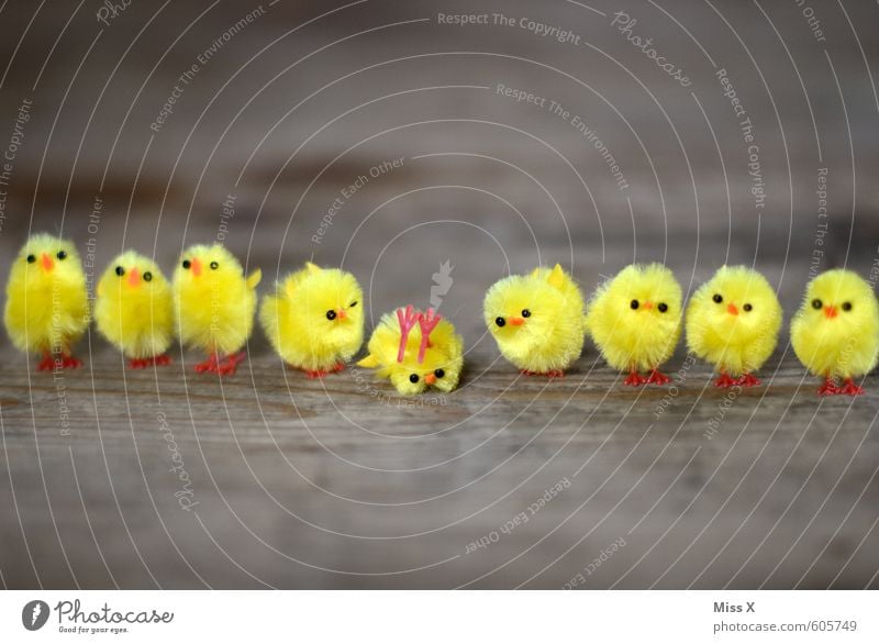 Besser Rotwein als.... Dekoration & Verzierung Ostern Vogel Tiergruppe Tierjunges lustig verrückt gelb Gefühle Stimmung Alkoholsucht Feindseligkeit Unfall