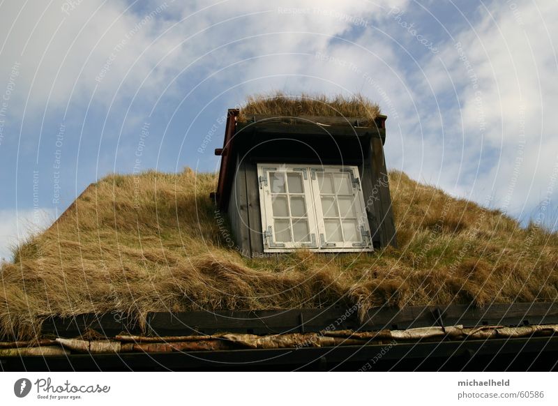 Gras auf dem Dach Fenster Wolken Føroyar Skandinavien Halm Holzfenster Dachrinne Regenrinne Natursteinhaus Tórshavn Himmel blau naturhaus