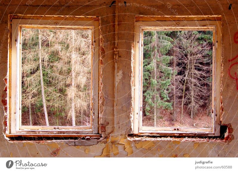 Schöne Aussicht Fenster Wald Wand Verfall Hotel Haus Gebäude Demontage 2 Raum grün Gernrode Mauer Putz Licht blick ins grüne ferienheim alt fritz-heckert-heim