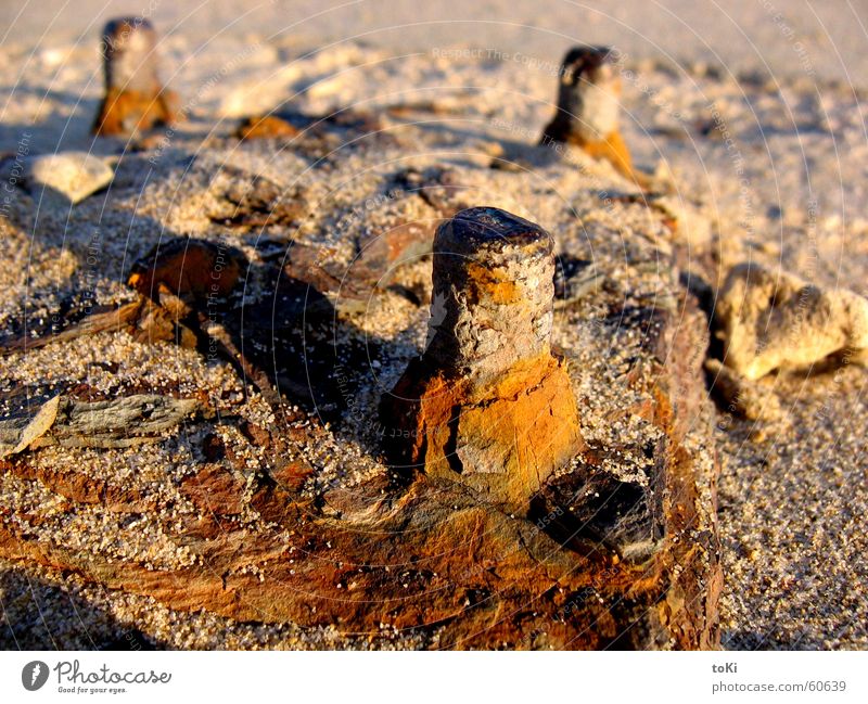 baluardo Schraube Strand beige Plattform Romantik Einsamkeit Sommer Erinnerung Vergangenheit Eisenplatte Meerwasser Fundament Strandanlage Schwimmbad Italien