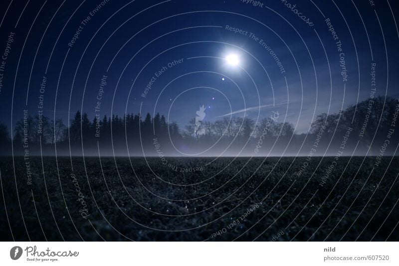 Nebelfeld Umwelt Natur Landschaft Himmel Nachthimmel Mond Herbst Winter Wetter Eis Frost Wiese Feld dunkel gruselig kalt blau Angst Farbfoto Außenaufnahme