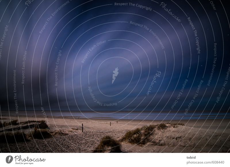 Nachts am Meer Ferne Freiheit Wellen Natur Urelemente Sand Wasser Nachthimmel Stern Horizont Winter schlechtes Wetter Wind Dünengras Küste Nordsee Wattenmeer