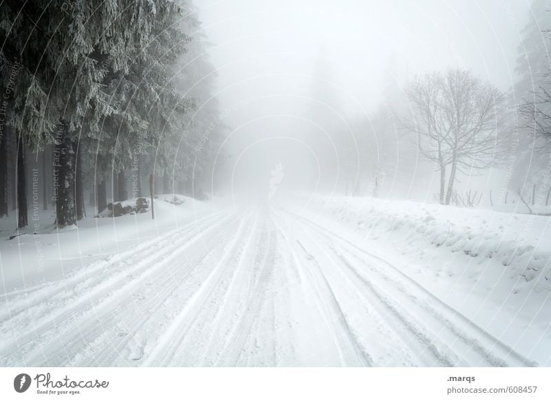 Unwetter Ausflug Abenteuer Winter Schnee Winterurlaub Umwelt Natur Landschaft Urelemente Himmel Horizont Klima Wetter Nebel Baum Verkehr Verkehrswege Straße