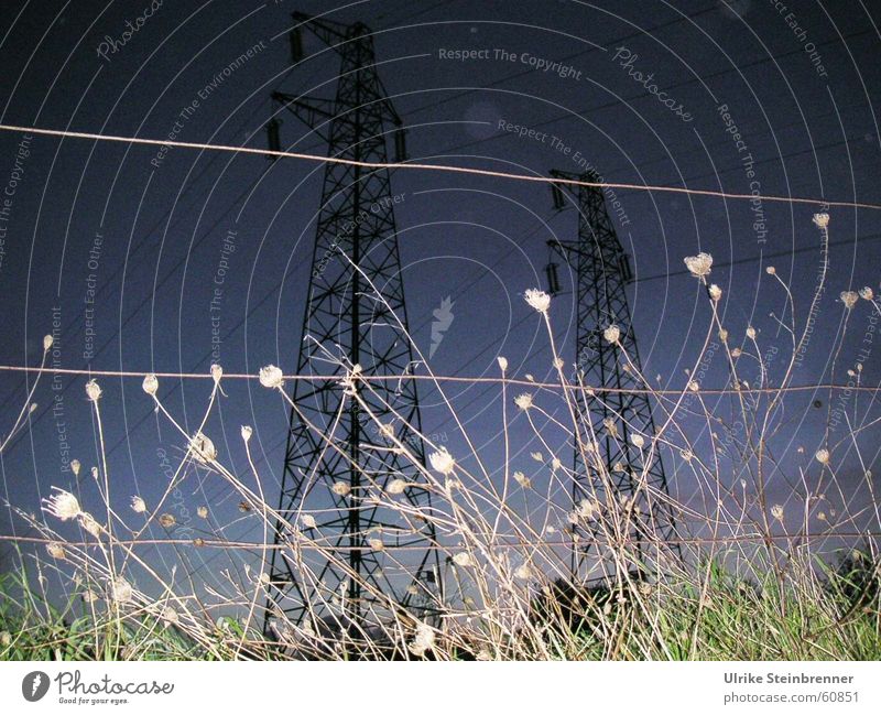 Hochspannungsmasten hinter Weidezaun bei Gewitter Farbfoto Außenaufnahme Abend Nacht Wiese Feld Kraft Strommast Abenddämmerung Elektrizität Spannung electricity