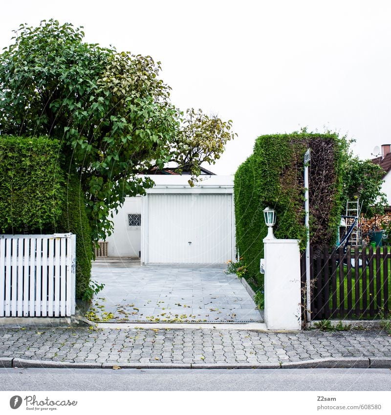 spiesser Umwelt Natur Baum Sträucher Dorf Kleinstadt Haus Gebäude Architektur Verkehrswege Straße kalt modern Sauberkeit Stadt ästhetisch Design elegant Idylle