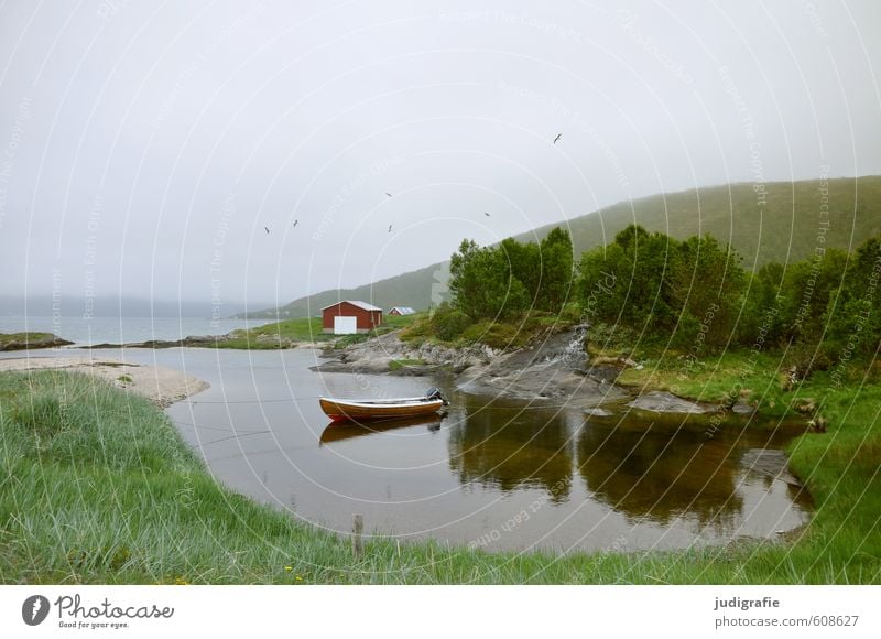 Vesterålen Umwelt Natur Landschaft Pflanze Tier Wasser Klima Baum Gras Hügel Berge u. Gebirge Fjord Norwegen Vesteralen Haus Hütte Fischerboot Kitsch natürlich