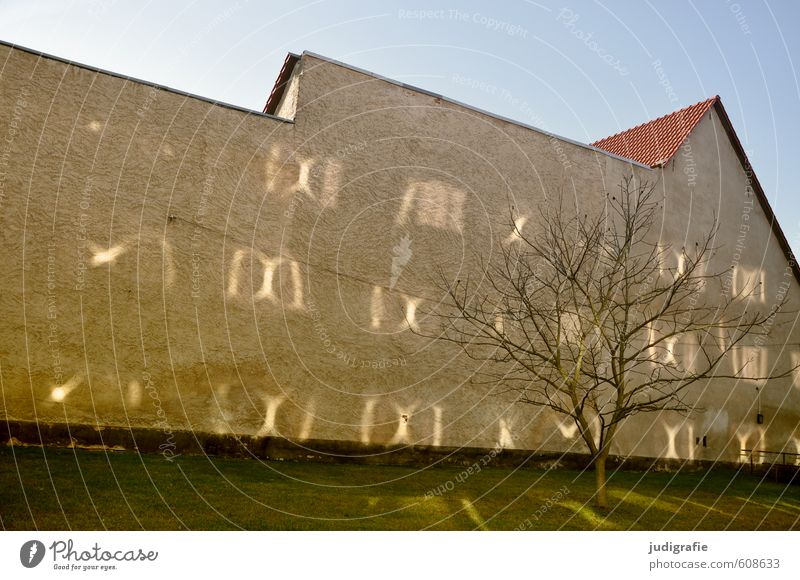 Templin Wolkenloser Himmel Sonne Sonnenlicht Schönes Wetter Baum Kleinstadt Haus Bauwerk Gebäude Mauer Wand Fassade leuchten außergewöhnlich Stimmung