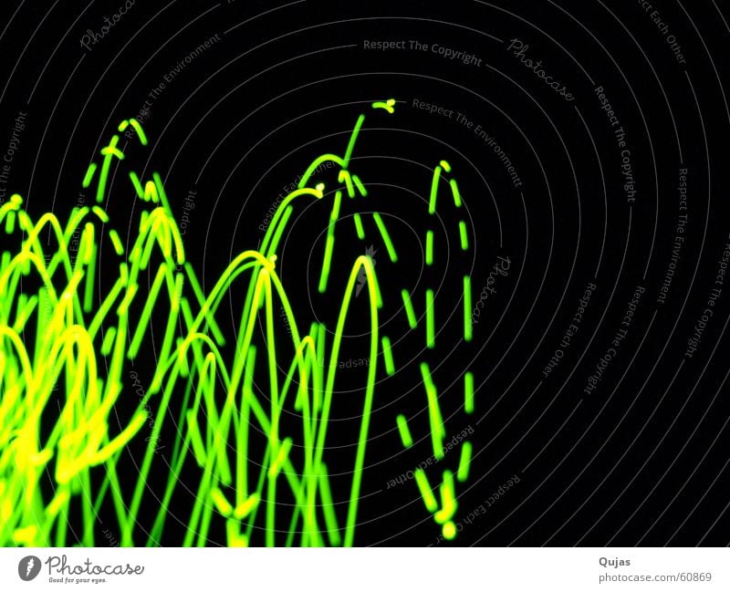 Glühwürmchen??? grün gelb Licht springen Aktion Experiment Neonlicht oben schwingen Spuren glühen Linie Elektrizität Bewegung move moving light