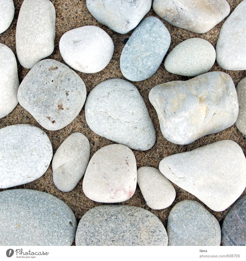 Du suchst das Meer Umwelt Natur Sand Küste Ostsee Stein liegen steinig Strandgut Farbfoto Menschenleer