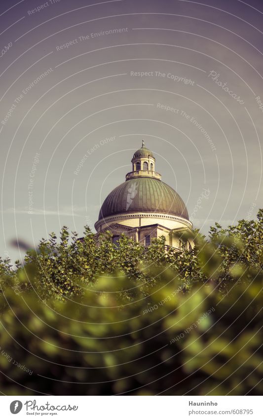 Blick über die Hecke Ferien & Urlaub & Reisen Tourismus Ausflug Sightseeing Städtereise Architektur Sonnenlicht Herbst Garten Stadt Hauptstadt Stadtzentrum