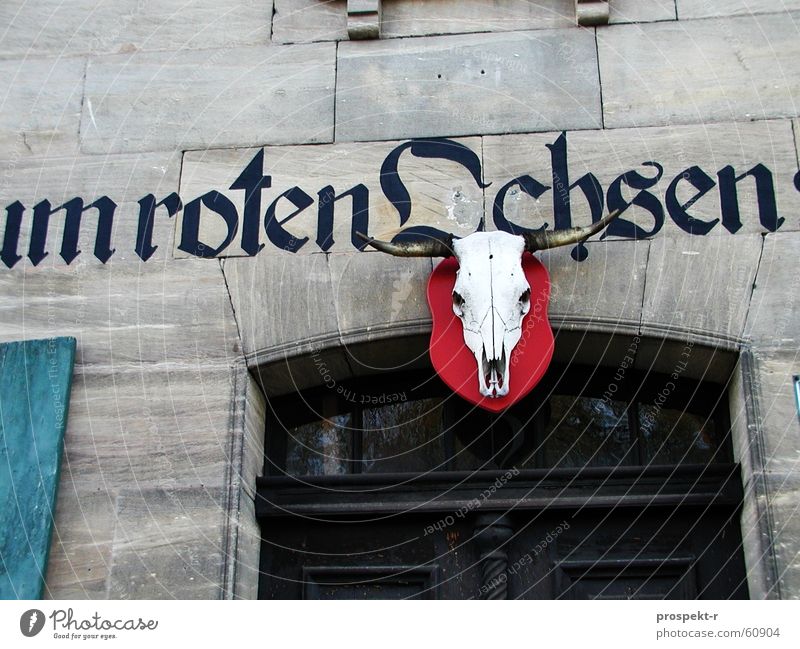 ...um roten Ochsen Gastronomie Haus Sandstein Fensterladen Tür Skelett Eingangstor zweiflügelig grau Kneipe ochsenkopf blau Stein alt Eingangstür