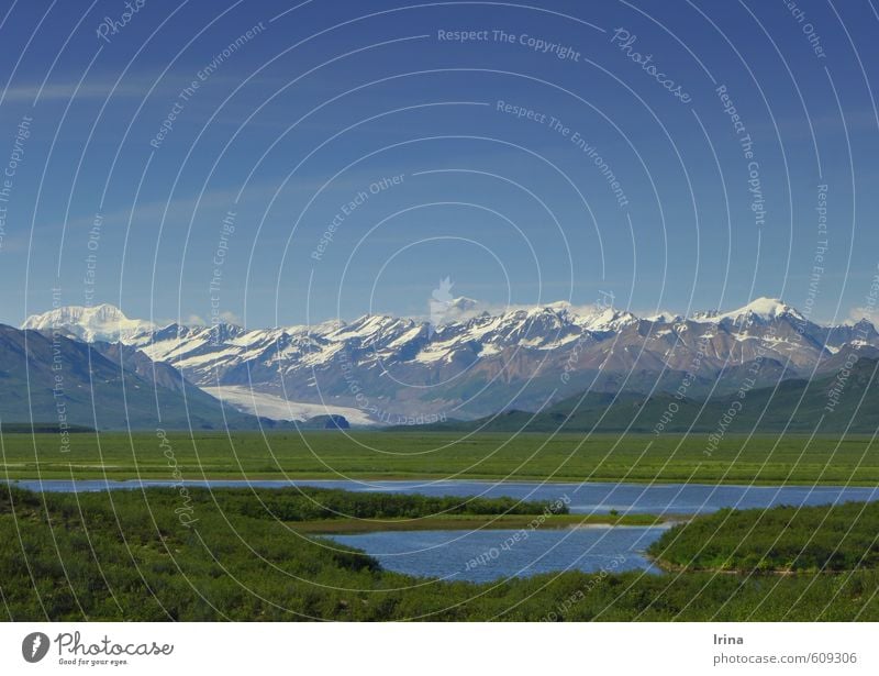 Denali Highway, Alaska Natur Landschaft Urelemente Wolkenloser Himmel Sommer Schönes Wetter Berge u. Gebirge Schneebedeckte Gipfel Gletscher See Ferne