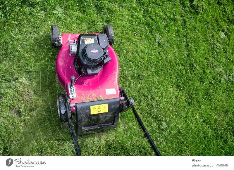 Emanzipation eines Rasenmähers rosa Homosexualität Arbeit & Erwerbstätigkeit Krach laut Gras Wiese grün drimmer Schwuler Garten yarn schneiden arbeiten field