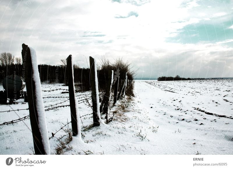 Winterimpression_III kalt Zaun Holz weiß Wolken Baum Schnee Himmel Pfosten Kontrast Beleuchtung Landschaft Natur