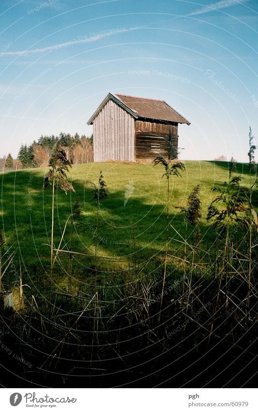 Sigi's Hütte grün Wiese Hügel schilff Himmel Schatten blau