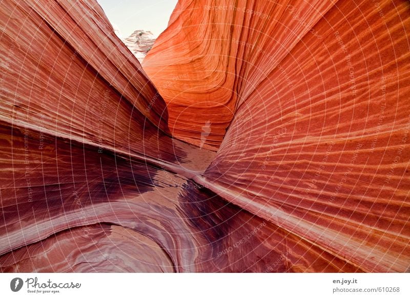 Spuren im Sand Ferien & Urlaub & Reisen Abenteuer Natur Landschaft Klima Felsen Schlucht Wüste außergewöhnlich fantastisch trocken orange bizarr einzigartig