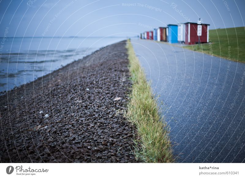 Bunte Badebuden . Freiheit Meer schlechtes Wetter Gras Küste Nordsee Dagebüll Hütte Uferweg blau mehrfarbig grau ruhig Tourismus Ferien & Urlaub & Reisen