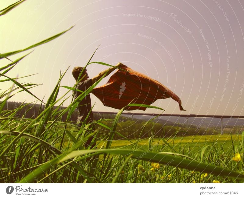 Flieg nicht zu hoch (mein kleiner Freund) Frühling Wiese Löwenzahn Blüte Blume Gras Mann Stil Sonnenbrille festhalten Liegewiese ausbreiten Decke fliegen Flügel