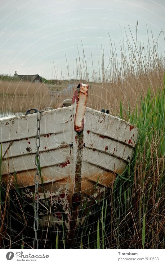 Bereitschaftsdienst. Ferien & Urlaub & Reisen Natur Himmel Sommer Schönes Wetter Pflanze Gras Dänemark Hütte Ruderboot Ankerkette Holz Metall warten natürlich