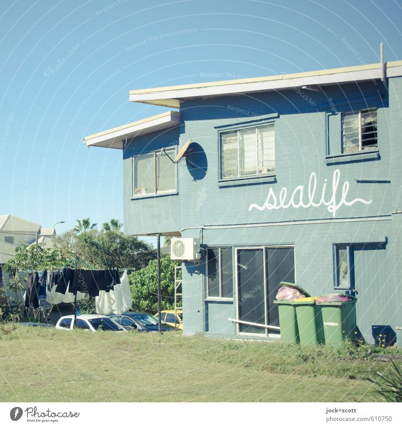 local sealife Umwelt Wolkenloser Himmel Schönes Wetter Wiese Queensland Haus Ladengeschäft Fassade Müllbehälter Wäscheständer Parabolantenne retro Stimmung Ziel