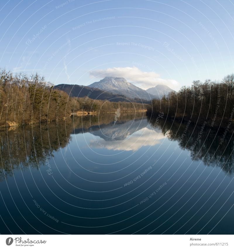 Fluss und Berg mit Wolke Landschaft Wasser Himmel Wolken Winter Schönes Wetter Wald Alpen Schneebedeckte Gipfel Flussufer Inn blau braun weiß ruhig ästhetisch