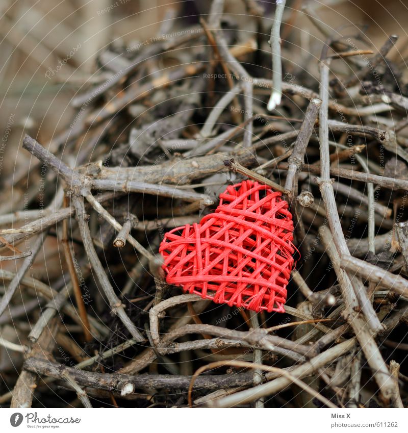 Scheiterhaufen Valentinstag Herbst Winter Sträucher Holz Herz rot Liebe Verliebtheit Romantik Liebeskummer Verfall Vergangenheit Vergänglichkeit verlieren Ast