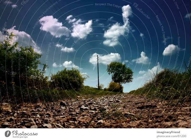 landschaft Länder Wolken Baum Strommast Gras Sommer Himmel country Landschaft Wege & Pfade