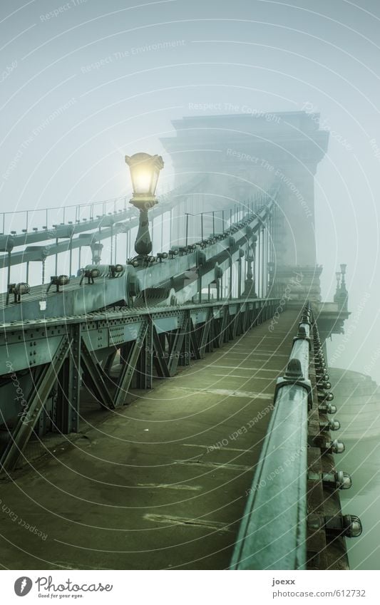 Man muss das Leben eben nehmen... Herbst Nebel Brücke Wege & Pfade alt groß gelb grau grün schwarz Farbfoto Gedeckte Farben Außenaufnahme Menschenleer Tag