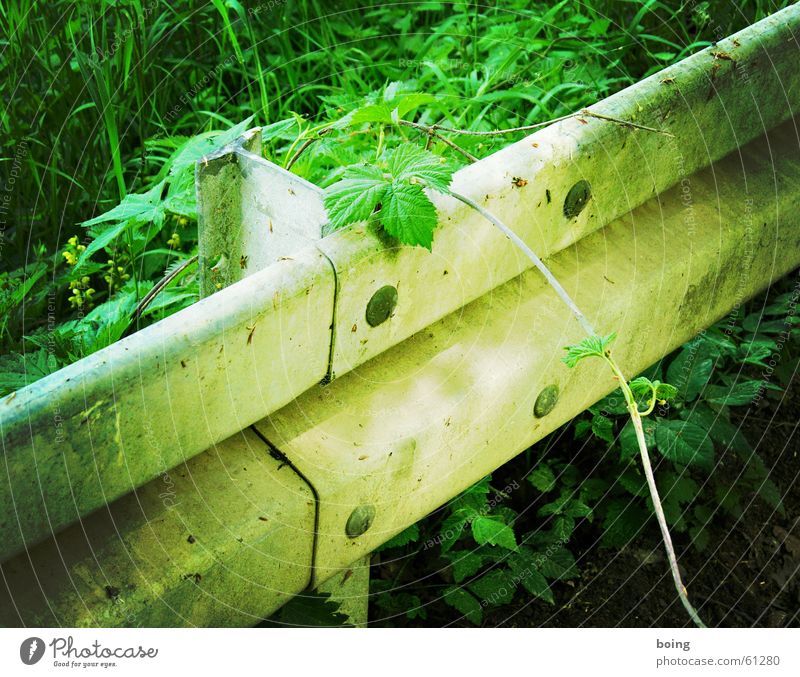 welcome to the jungle Leitplanke Sträucher Urwald Hecke Straße Verkehrswege Sicherheit Vergänglichkeit passive schutzeinrichtung rankendes gewächs wuchern