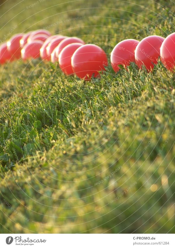 Invasion der roten... Wiese Licht grün Kunst abstrakt Gras Rasen Ball race to meadow to light red to art abstractly to grass balls