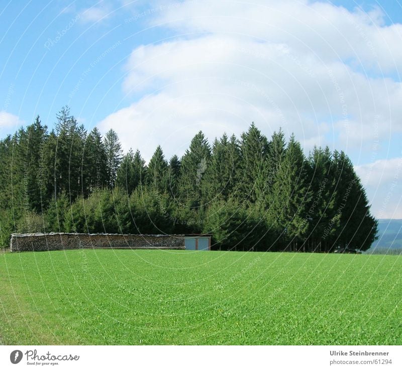 Holzstapel mit Waldstück und Wiese im Schwarzwald Farbfoto Außenaufnahme Menschenleer Textfreiraum unten Tag Zentralperspektive Sommer Landschaft Himmel Wolken