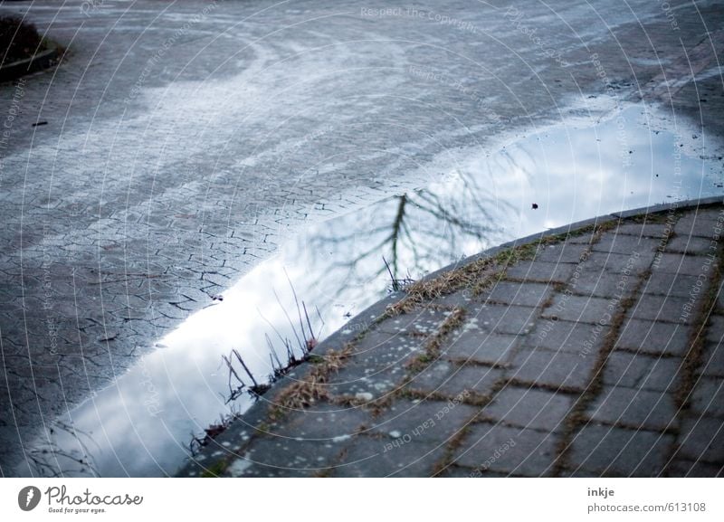 kalte Wege II Wasser Herbst Winter Klima Baum Stadtrand Menschenleer Platz Verkehr Verkehrswege Autofahren Straße Wege & Pfade Bürgersteig Fußweg Pfütze Linie