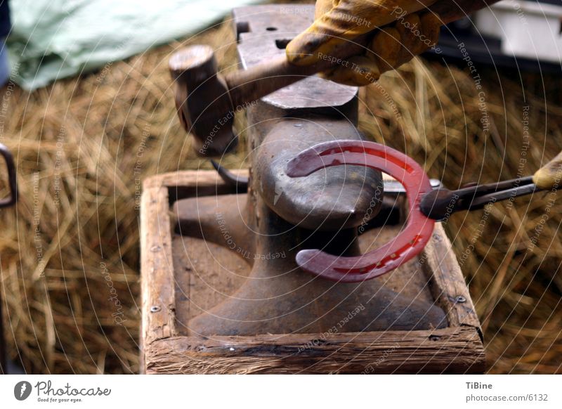 glühendes Hufeisen Hufschmied Handwerk Pferd Schmiede Amboss Hammer