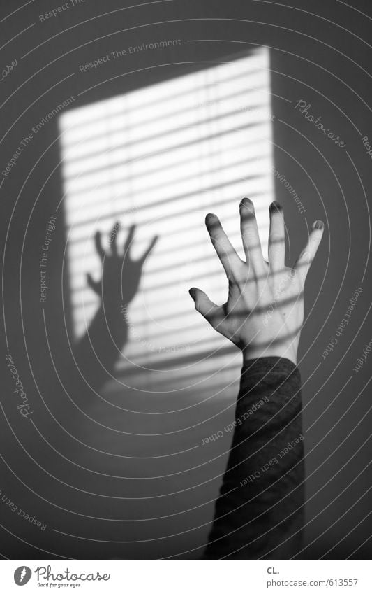 kralle Häusliches Leben Wohnung Raum Mensch feminin Junge Frau Jugendliche Erwachsene Arme Hand Finger 1 18-30 Jahre 30-45 Jahre Mauer Wand Fenster gruselig