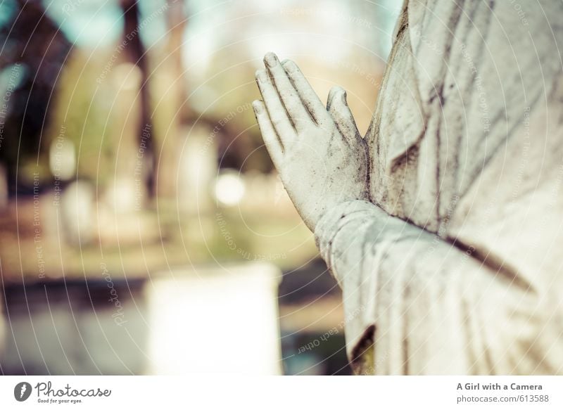 there's always hope to be had Park Glaube Religion & Glaube Mittelpunkt Gebet Statue Maria Christentum Stein Marmor Friedhof ruhig Gedeckte Farben Außenaufnahme