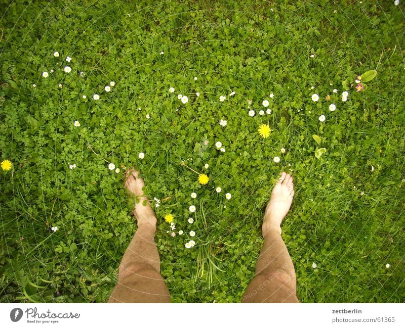 Auf der Wiese, andere Stelle Gras Blume rechts links stehen Barfuß nackt Ferien & Urlaub & Reisen Bauernhof Rasen Fuß beide frei Freiheit seele baumeln