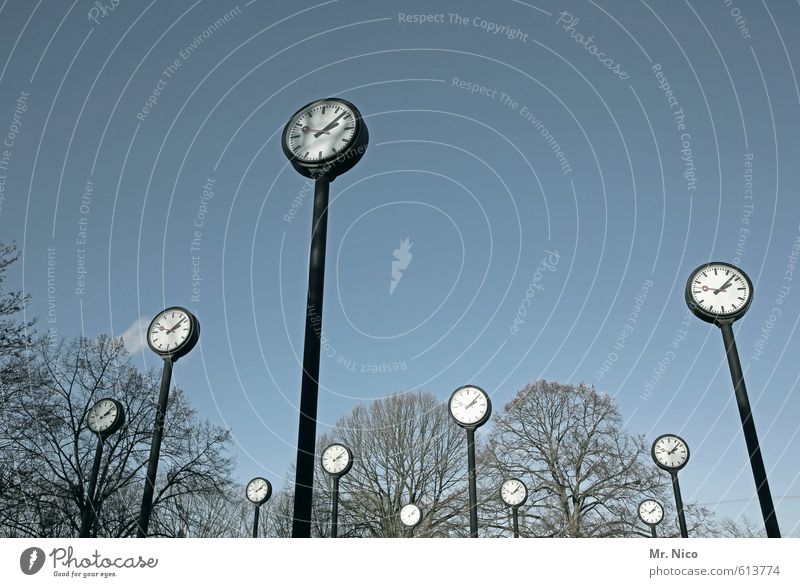 uhrwald Umwelt Himmel Wolkenloser Himmel Baum Park groß Pünktlichkeit Kunst Uhr Zeit 11 Mittag Vergangenheit Gegenwart Zeitpunkt Vergänglichkeit Nachmittag