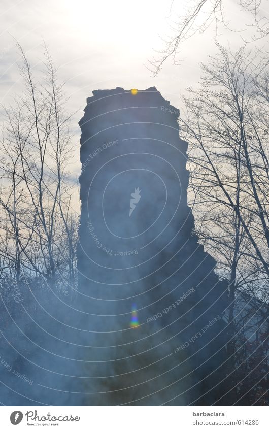 geheimnisvoll | von Mythen und Sagen Architektur Umwelt Natur Landschaft Himmel Sträucher Wald Burg oder Schloss Ruine Abgas Feuerstelle Rauchen stehen alt