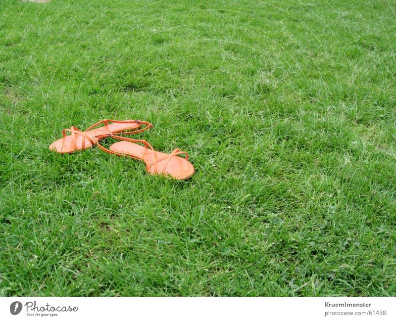 My Shoes Schuhe Sandale Wiese grün Sommer orange