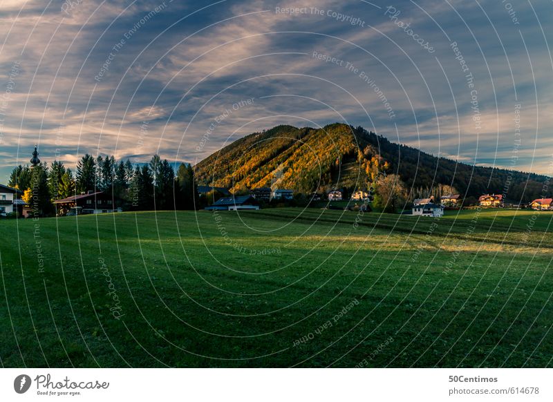 Abendstimmung im grünen Faistenau Ferien & Urlaub & Reisen Tourismus Ausflug Sommer Sommerurlaub Natur Landschaft Himmel Wolken Baum Wiese Hügel