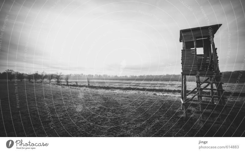 soweit das Auge reicht Landschaft Horizont Sonnenlicht Herbst Winter Schönes Wetter Gras Feld Hochsitz Blick warten alt groß Unendlichkeit Neugier schwarz weiß