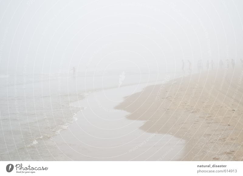 Menschen am Meer im Nebel. Ausflug Abenteuer Ferne Strand Menschengruppe Küste Schwimmen & Baden laufen rennen sportlich verrückt braun weiß Freude Tapferkeit