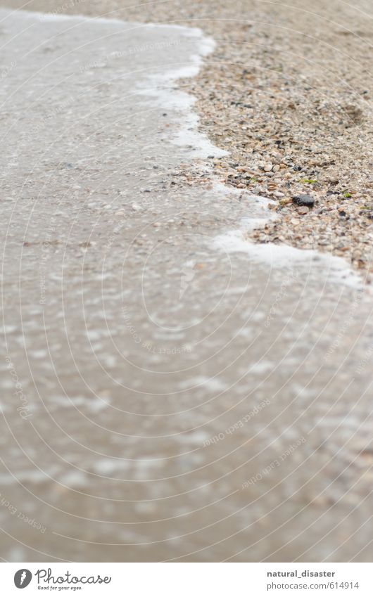 Sand umspülendes Meer Natur Wasser Wetter Küste Strand Stein Flüssigkeit nass braun Farbfoto Gedeckte Farben Außenaufnahme Textfreiraum links Textfreiraum unten