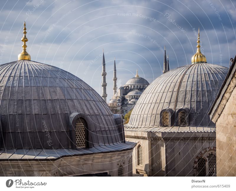 Kuppeln Stadt Hauptstadt Stadtzentrum Menschenleer Haus Kirche Turm Bauwerk Gebäude Architektur Fassade Sehenswürdigkeit Wahrzeichen blau gold schwarz Istanbul