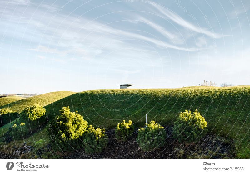 sonnenplatz Umwelt Natur Landschaft Himmel Sonne Sonnenlicht Sommer Schönes Wetter Wiese Menschenleer Garten Gesundheit natürlich Sauberkeit Wärme blau grün