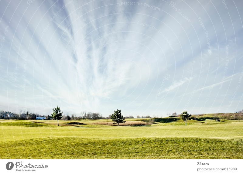 In Reihe und Glied Umwelt Natur Landschaft Himmel Wolken Sommer Herbst Schönes Wetter ästhetisch einfach nachhaltig natürlich Sauberkeit blau grün Zufriedenheit