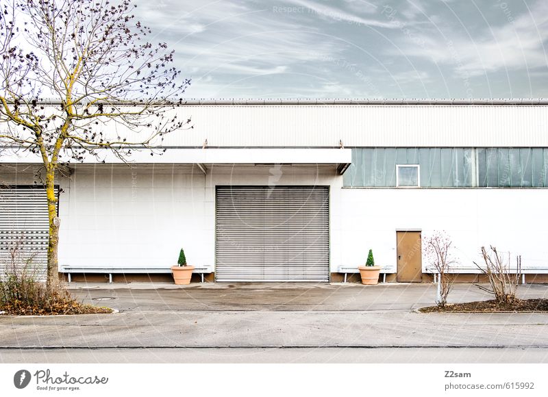 Ordnung ist das ...... Herbst Schönes Wetter Baum Sträucher Industrieanlage Fabrik Platz Tor Gebäude Architektur Mauer Wand eckig einfach kalt modern Sauberkeit