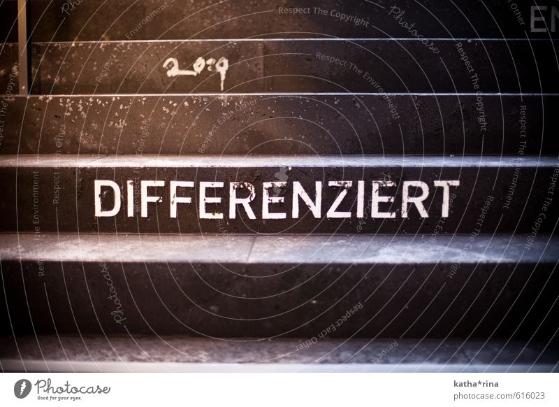 Treppenstufen in den Straßen von Zürich mit der Beschriftung "DIFFERENZIERT". Lifestyle Kunst Straßenkunst gold grau Identität Inspiration Vielfältig Farbfoto