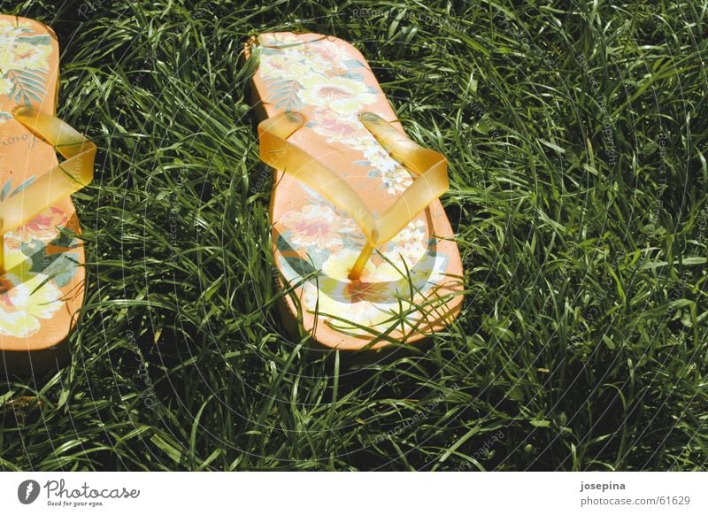 Flip-flops Flipflops Badelatschen Sommer Gras grün Blume liegen gelassen orange grass flower